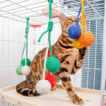 Colorful Cat Rope Ball Toy Set for Enrichment Play
