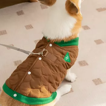 Warm Cotton Dog Coat: Fit, Features & Winter Care