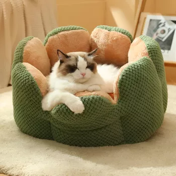 Cactus Flower Pet Bed Guide: Sizing, Comfort & Care