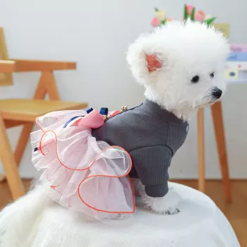 Elegant Tulle Princess Dress for Small Dogs: Fit & Care