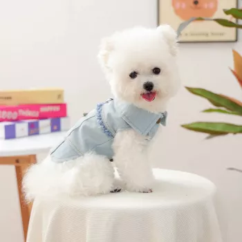 Denim Dog Vest for Fall: Tassel Star Warmth
