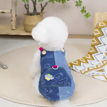 Denim Dog Dress Guide: Fit, Comfort, and Safe Wear