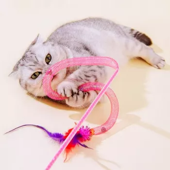 Feather, Bell & Wool Cat Teaser Wand: Play Tips