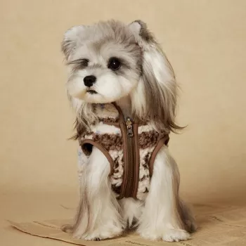 Windproof Cotton Dog Coat: Warm Winter Walks